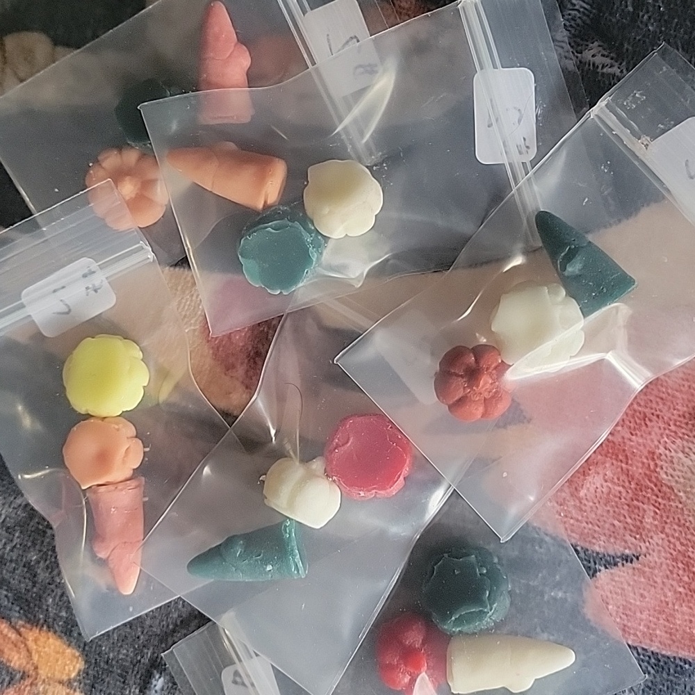 Tiny Gnome and pumpkin wax melts